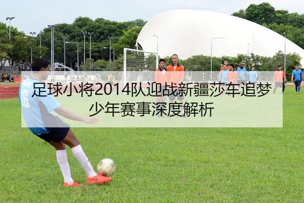 足球小将2014队迎战新疆莎车追梦少年赛事深度解析