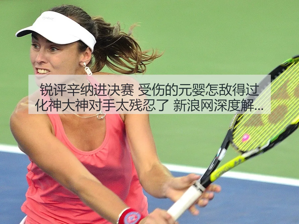 辛纳进决赛：受伤的元婴怎敌得过化神大神？对手太残忍了